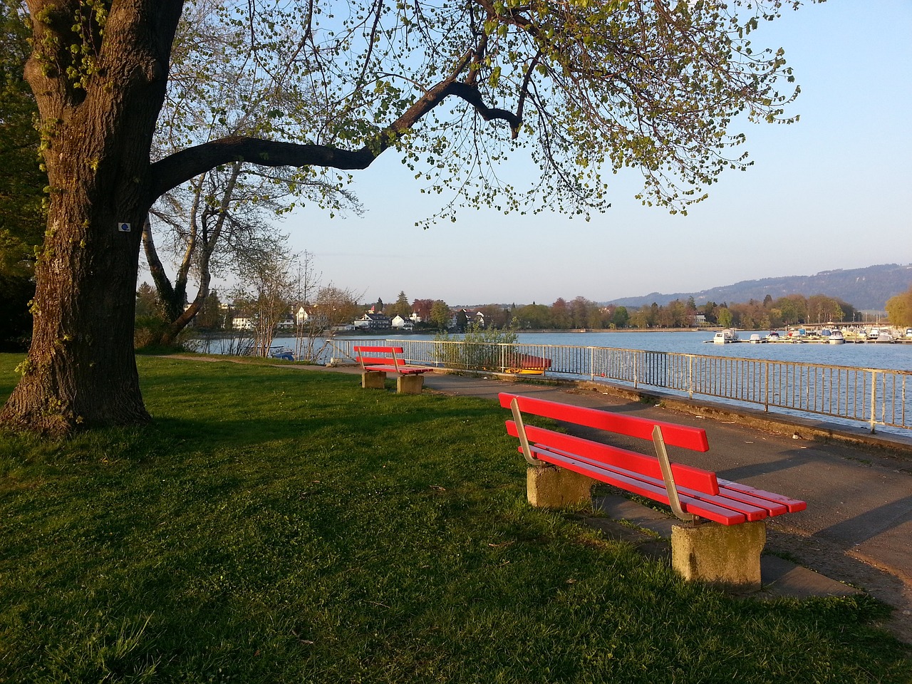 的运动吸引 的运动吸引