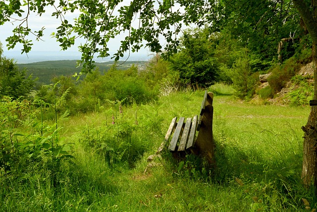 多元发展 多元发展