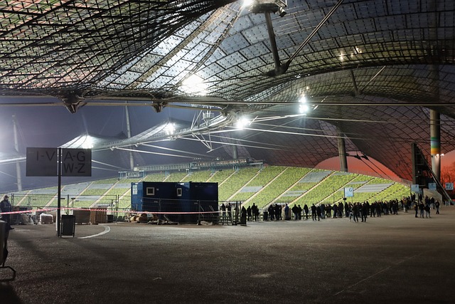 了坚实基础 了坚实基础