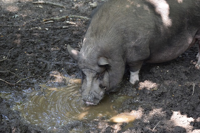 尤其是在第 尤其是在第